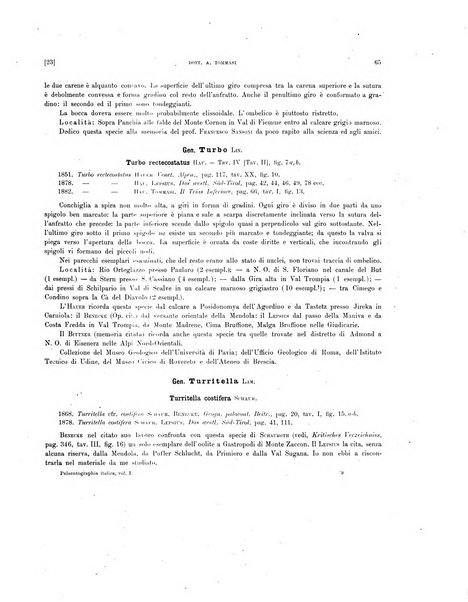 Palaeontographia Italica raccolta di monografie paleontologiche fondata da Mario Canavari nell'anno 1895