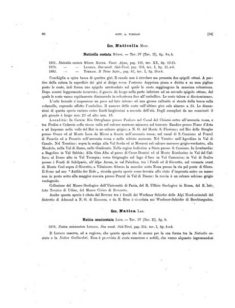 Palaeontographia Italica raccolta di monografie paleontologiche fondata da Mario Canavari nell'anno 1895