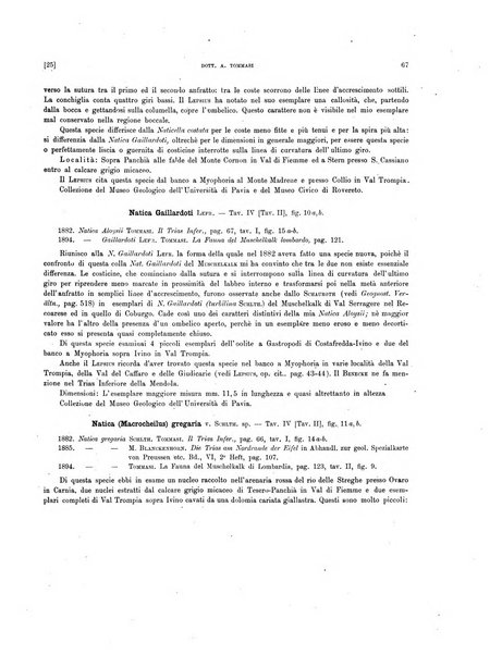 Palaeontographia Italica raccolta di monografie paleontologiche fondata da Mario Canavari nell'anno 1895