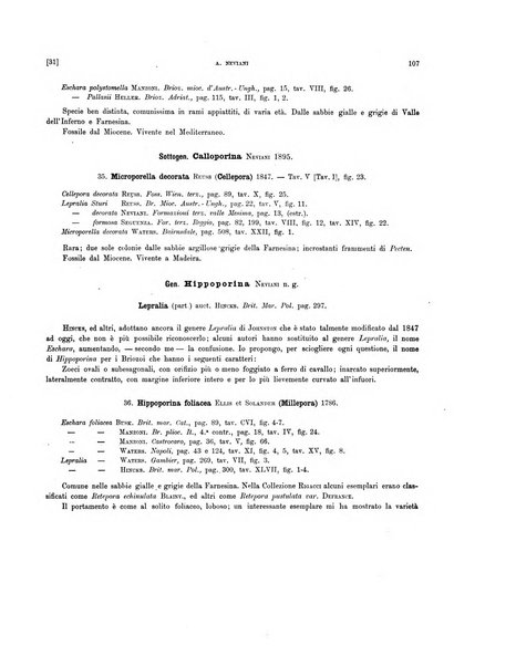 Palaeontographia Italica raccolta di monografie paleontologiche fondata da Mario Canavari nell'anno 1895