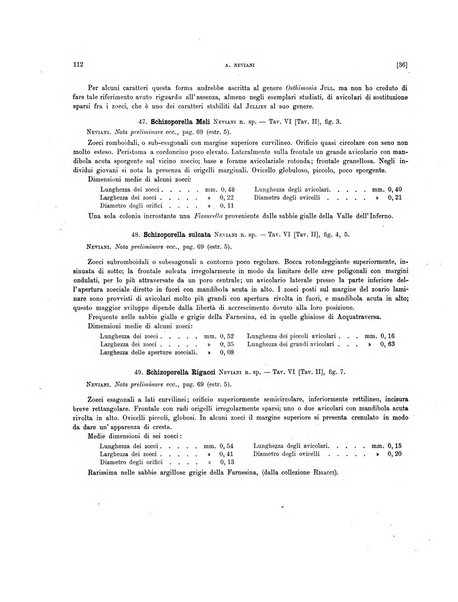 Palaeontographia Italica raccolta di monografie paleontologiche fondata da Mario Canavari nell'anno 1895