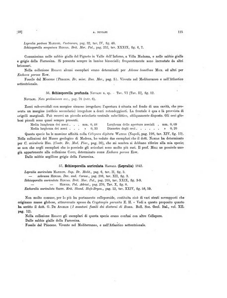 Palaeontographia Italica raccolta di monografie paleontologiche fondata da Mario Canavari nell'anno 1895