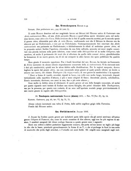 Palaeontographia Italica raccolta di monografie paleontologiche fondata da Mario Canavari nell'anno 1895