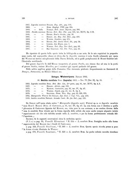 Palaeontographia Italica raccolta di monografie paleontologiche fondata da Mario Canavari nell'anno 1895