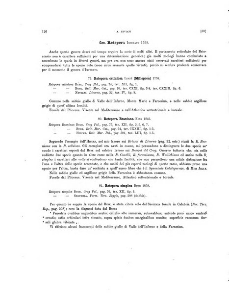 Palaeontographia Italica raccolta di monografie paleontologiche fondata da Mario Canavari nell'anno 1895