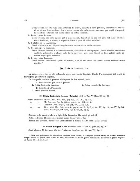 Palaeontographia Italica raccolta di monografie paleontologiche fondata da Mario Canavari nell'anno 1895