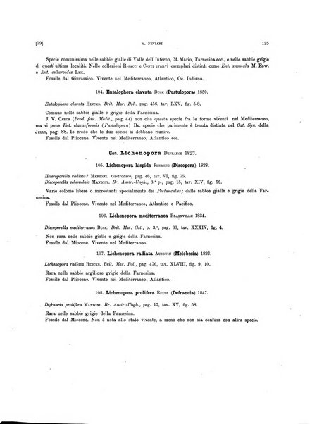 Palaeontographia Italica raccolta di monografie paleontologiche fondata da Mario Canavari nell'anno 1895