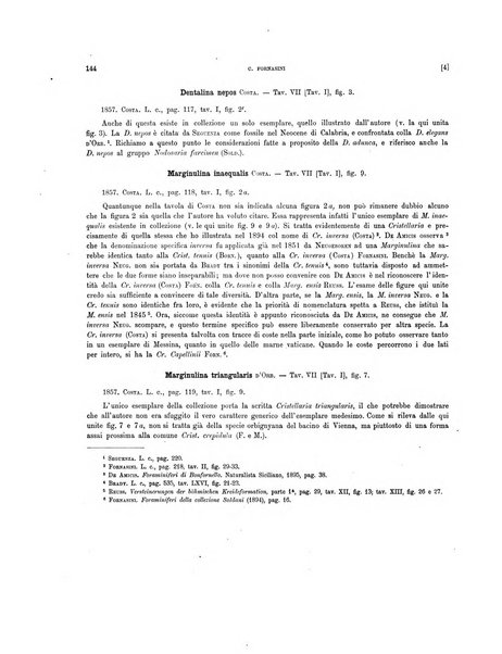 Palaeontographia Italica raccolta di monografie paleontologiche fondata da Mario Canavari nell'anno 1895