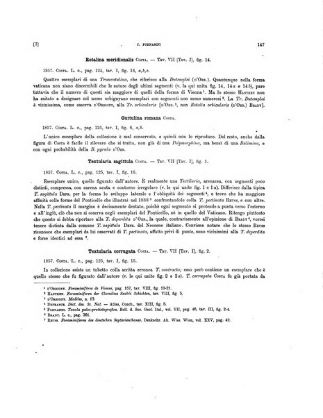 Palaeontographia Italica raccolta di monografie paleontologiche fondata da Mario Canavari nell'anno 1895