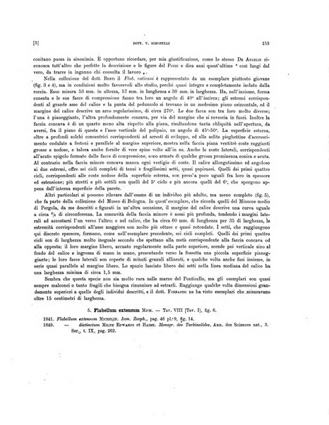 Palaeontographia Italica raccolta di monografie paleontologiche fondata da Mario Canavari nell'anno 1895