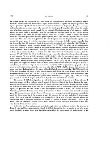 Palaeontographia Italica raccolta di monografie paleontologiche fondata da Mario Canavari nell'anno 1895