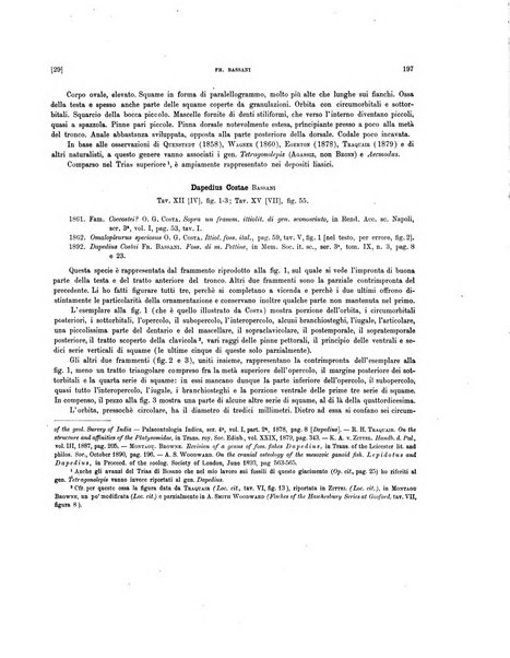 Palaeontographia Italica raccolta di monografie paleontologiche fondata da Mario Canavari nell'anno 1895