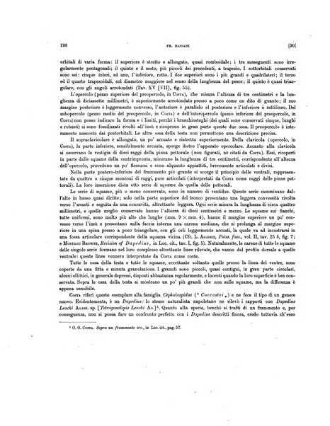 Palaeontographia Italica raccolta di monografie paleontologiche fondata da Mario Canavari nell'anno 1895