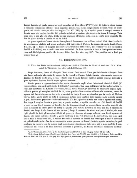 Palaeontographia Italica raccolta di monografie paleontologiche fondata da Mario Canavari nell'anno 1895