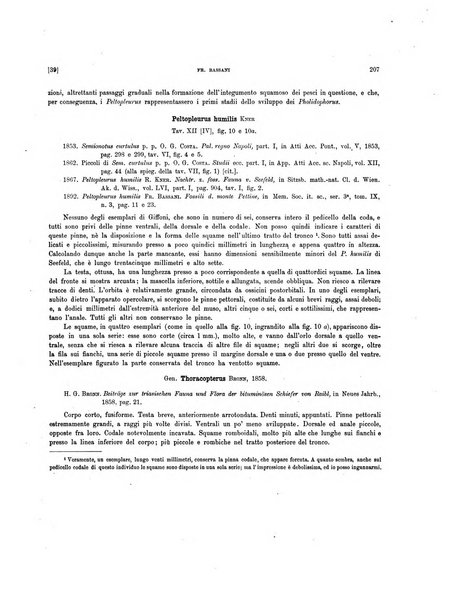 Palaeontographia Italica raccolta di monografie paleontologiche fondata da Mario Canavari nell'anno 1895