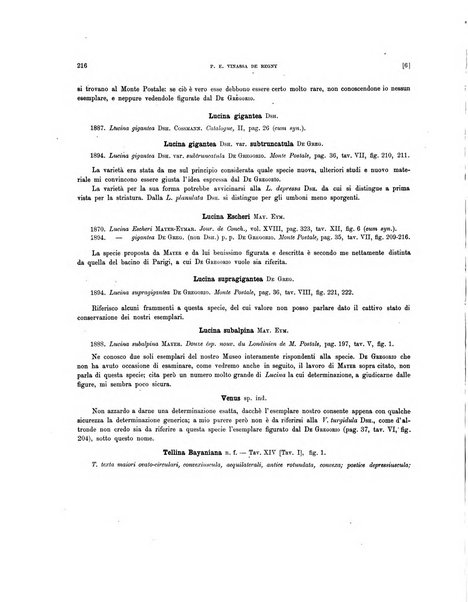 Palaeontographia Italica raccolta di monografie paleontologiche fondata da Mario Canavari nell'anno 1895