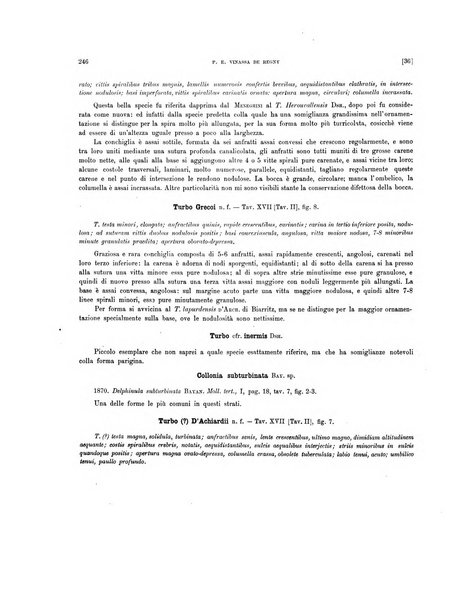 Palaeontographia Italica raccolta di monografie paleontologiche fondata da Mario Canavari nell'anno 1895