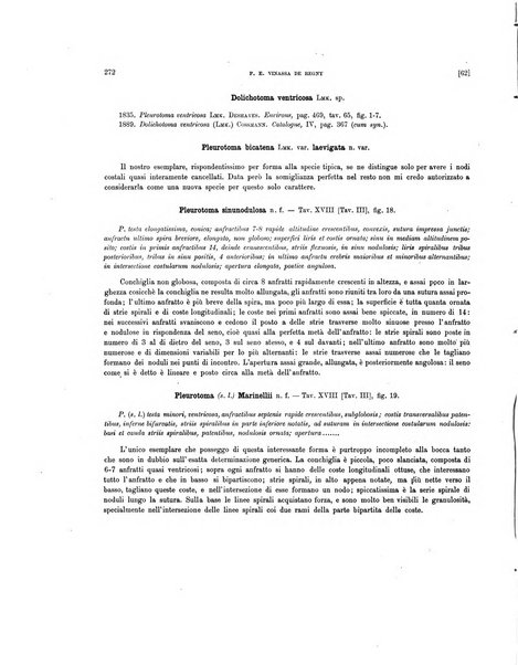 Palaeontographia Italica raccolta di monografie paleontologiche fondata da Mario Canavari nell'anno 1895