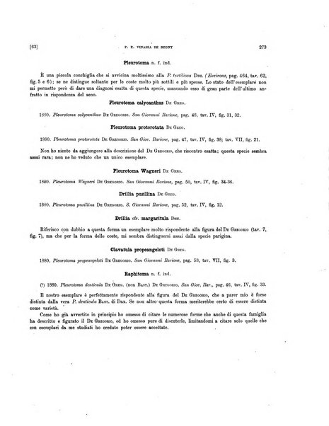 Palaeontographia Italica raccolta di monografie paleontologiche fondata da Mario Canavari nell'anno 1895