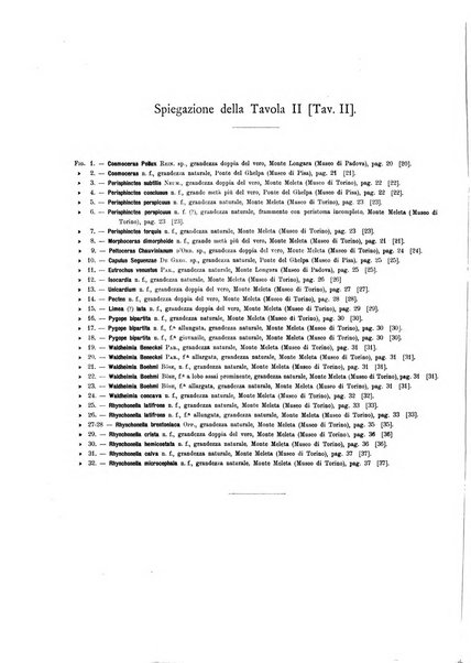 Palaeontographia Italica raccolta di monografie paleontologiche fondata da Mario Canavari nell'anno 1895