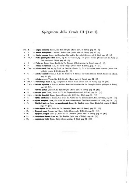 Palaeontographia Italica raccolta di monografie paleontologiche fondata da Mario Canavari nell'anno 1895