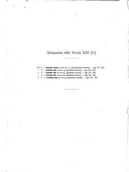 Palaeontographia Italica raccolta di monografie paleontologiche fondata da Mario Canavari nell'anno 1895