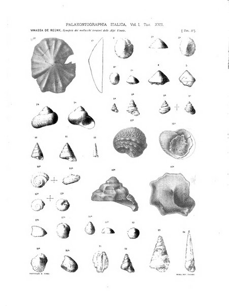 Palaeontographia Italica raccolta di monografie paleontologiche fondata da Mario Canavari nell'anno 1895