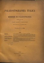 giornale/VEA0025754/1896/unico/00000005