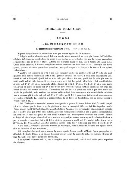 Palaeontographia Italica raccolta di monografie paleontologiche fondata da Mario Canavari nell'anno 1895