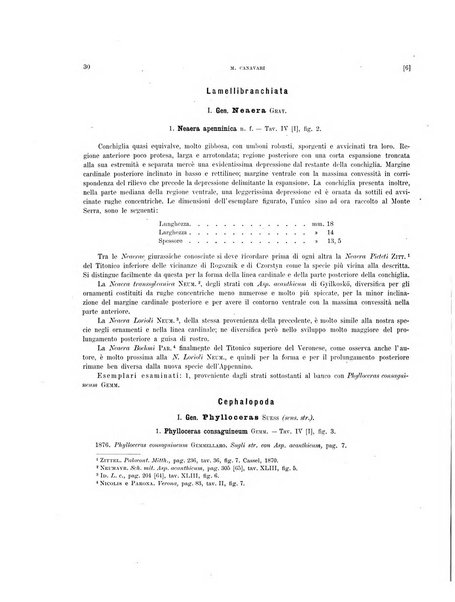 Palaeontographia Italica raccolta di monografie paleontologiche fondata da Mario Canavari nell'anno 1895