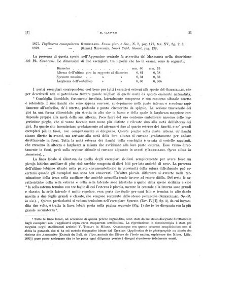 Palaeontographia Italica raccolta di monografie paleontologiche fondata da Mario Canavari nell'anno 1895