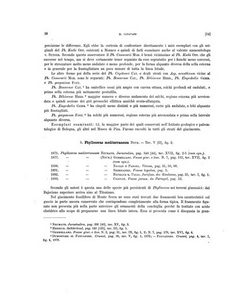 Palaeontographia Italica raccolta di monografie paleontologiche fondata da Mario Canavari nell'anno 1895