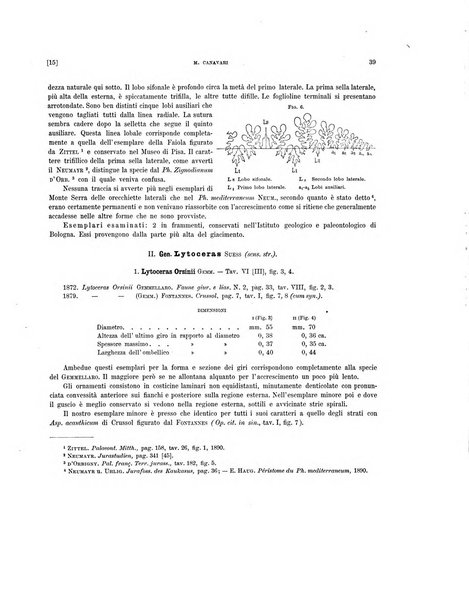 Palaeontographia Italica raccolta di monografie paleontologiche fondata da Mario Canavari nell'anno 1895