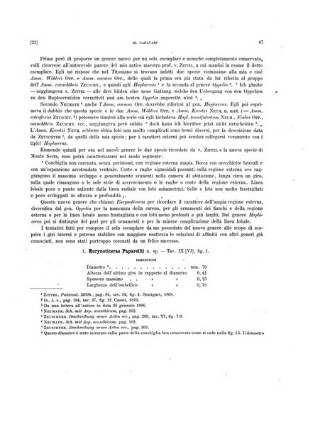 Palaeontographia Italica raccolta di monografie paleontologiche fondata da Mario Canavari nell'anno 1895