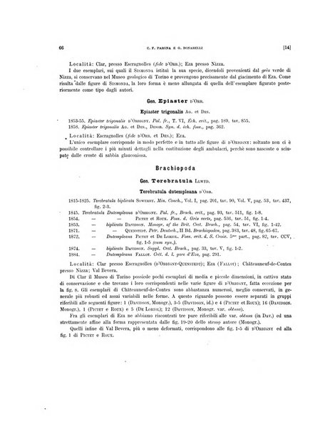 Palaeontographia Italica raccolta di monografie paleontologiche fondata da Mario Canavari nell'anno 1895