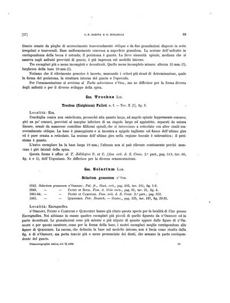 Palaeontographia Italica raccolta di monografie paleontologiche fondata da Mario Canavari nell'anno 1895