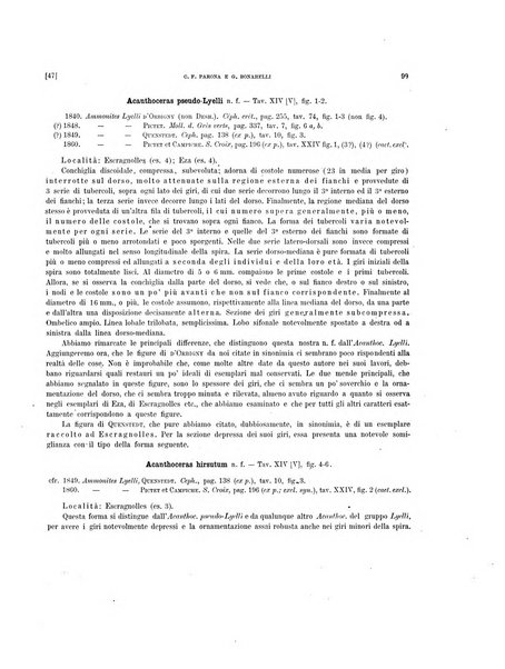 Palaeontographia Italica raccolta di monografie paleontologiche fondata da Mario Canavari nell'anno 1895