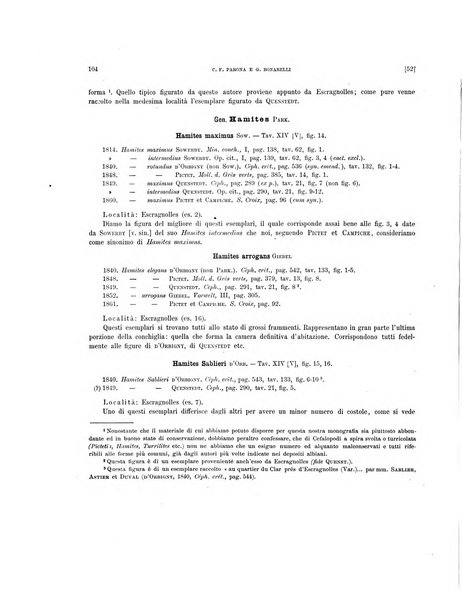 Palaeontographia Italica raccolta di monografie paleontologiche fondata da Mario Canavari nell'anno 1895