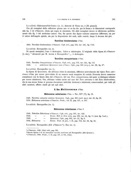 Palaeontographia Italica raccolta di monografie paleontologiche fondata da Mario Canavari nell'anno 1895