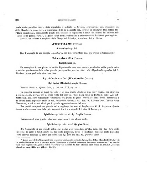 Palaeontographia Italica raccolta di monografie paleontologiche fondata da Mario Canavari nell'anno 1895