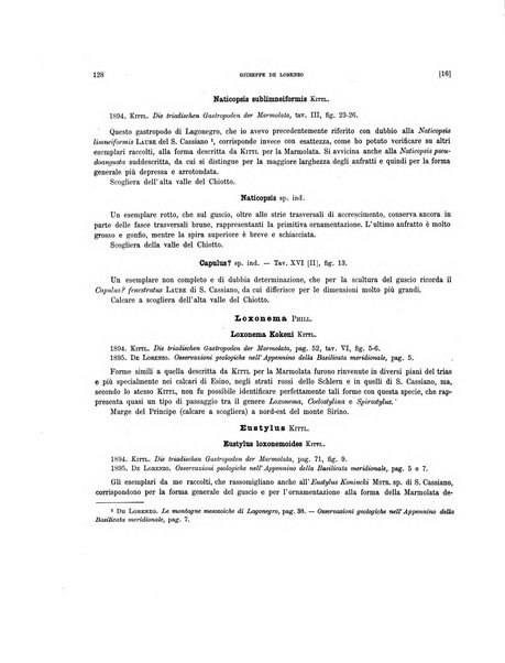 Palaeontographia Italica raccolta di monografie paleontologiche fondata da Mario Canavari nell'anno 1895