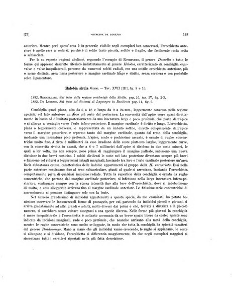 Palaeontographia Italica raccolta di monografie paleontologiche fondata da Mario Canavari nell'anno 1895