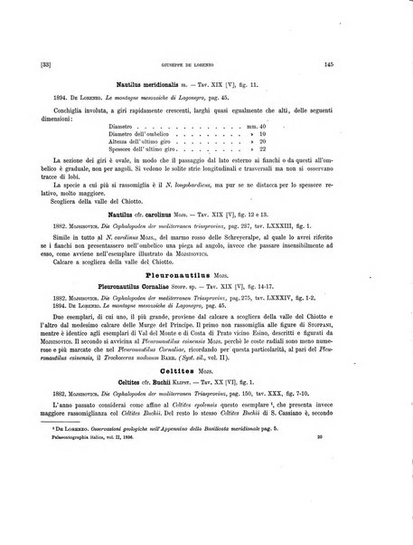 Palaeontographia Italica raccolta di monografie paleontologiche fondata da Mario Canavari nell'anno 1895