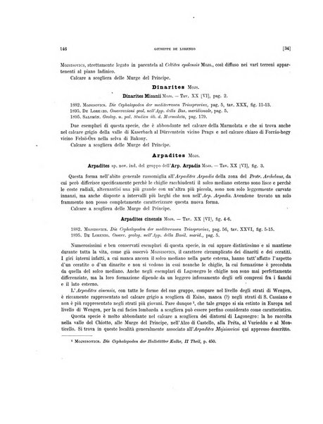 Palaeontographia Italica raccolta di monografie paleontologiche fondata da Mario Canavari nell'anno 1895