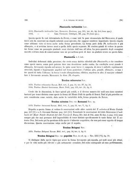 Palaeontographia Italica raccolta di monografie paleontologiche fondata da Mario Canavari nell'anno 1895