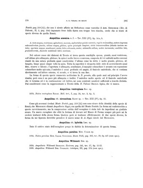 Palaeontographia Italica raccolta di monografie paleontologiche fondata da Mario Canavari nell'anno 1895