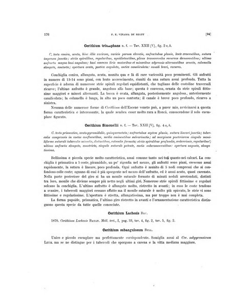 Palaeontographia Italica raccolta di monografie paleontologiche fondata da Mario Canavari nell'anno 1895