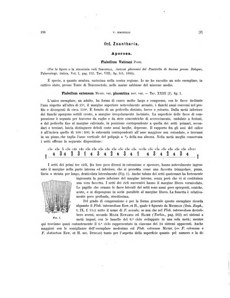 Palaeontographia Italica raccolta di monografie paleontologiche fondata da Mario Canavari nell'anno 1895