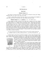 giornale/VEA0025754/1896/unico/00000196