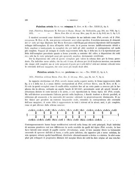 Palaeontographia Italica raccolta di monografie paleontologiche fondata da Mario Canavari nell'anno 1895